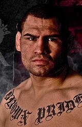Cain Velasquez mastered the art of striking after dominating as a wrestler. Integrated marketers need to define their strength, then expand their skill sets in a similar manner.